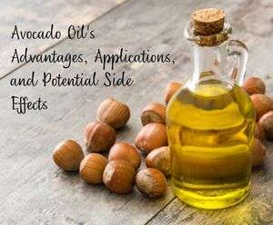 Avocado Oil’s Advantages, Applications, and Potential Side Effects