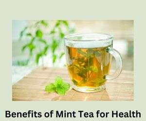 Benefits of Mint Tea for Health