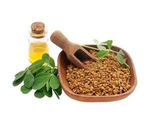 Fenugreek Oil: The Beneficial Essential Oil