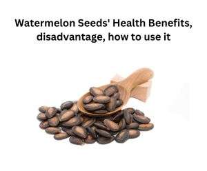 Watermelon Seeds' Health Benefits, disadvantage, how to use it